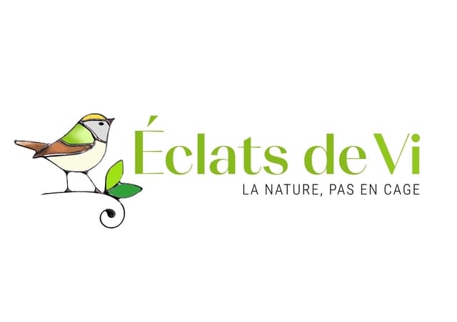vitraux, oiseaux, verre, moderne, déco