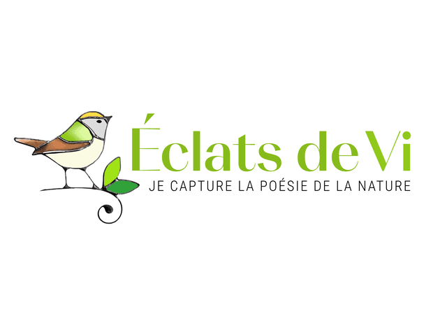 Logo de la marque Eclats de Vi
Boutique de créateurs
Bijoux
Déco
Cadeau
